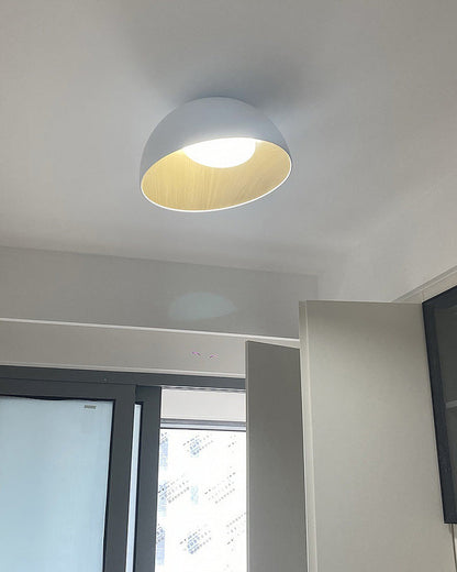 Diff Dome Asymmetrical Flush Mount Ceiling Light-DF1020
