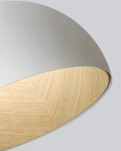 Diff Dome Asymmetrical Flush Mount Ceiling Light-DF1020
