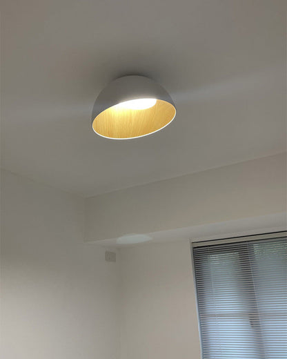 Diff Dome Asymmetrical Flush Mount Ceiling Light-DF1020
