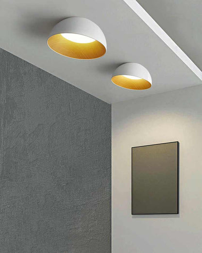 Diff Dome Asymmetrical Flush Mount Ceiling Light-DF1020