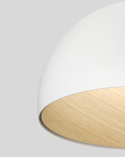 Diff Dome Asymmetrical Flush Mount Ceiling Light-DF1020