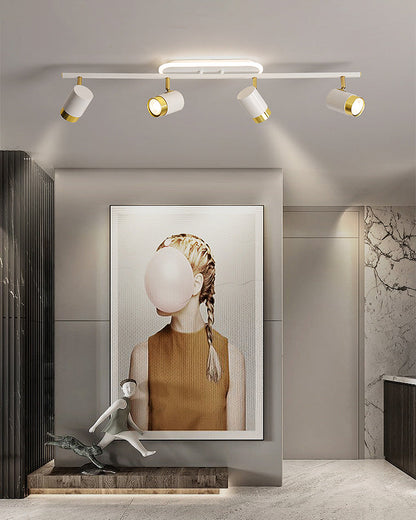 Diff Led Spotlights Kitchen Ceiling Light-DF1034