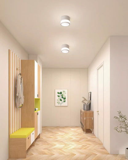 Diff Small Hallway Flush Mount Ceiling Light-DF1095