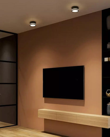 Diff Small Hallway Flush Mount Ceiling Light-DF1095