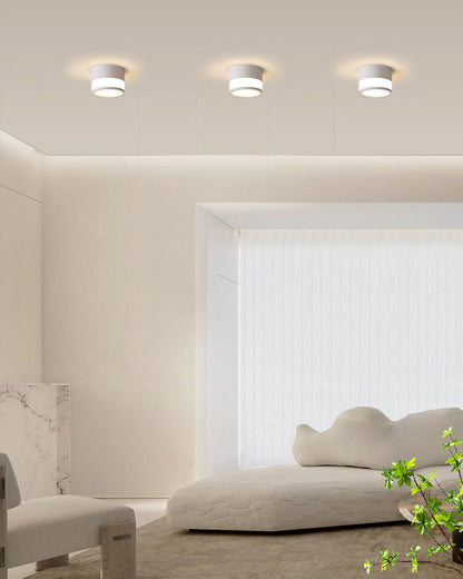 Diff Small Hallway Flush Mount Ceiling Light-DF1095