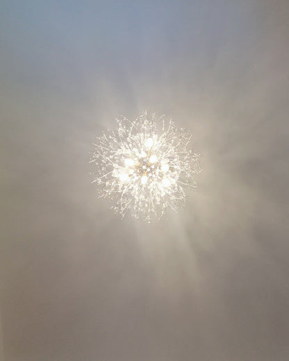 Diff Dandelion Chandelier-DF2004