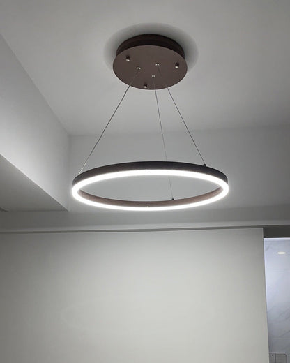 Diff Ring Pendant Light-DF2030
