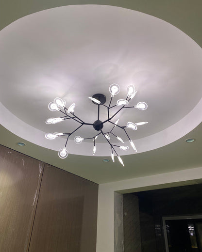 Diff Heracleum/Firefly Chandelier-DF2113