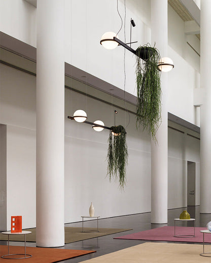 Diff Plant Globe Pendant Light-DF2155