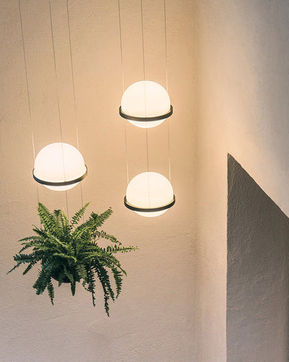 Diff Plant Globe Pendant Light-DF2155
