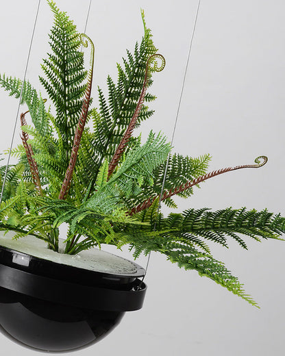 Diff Plant Globe Pendant Light-DF2155