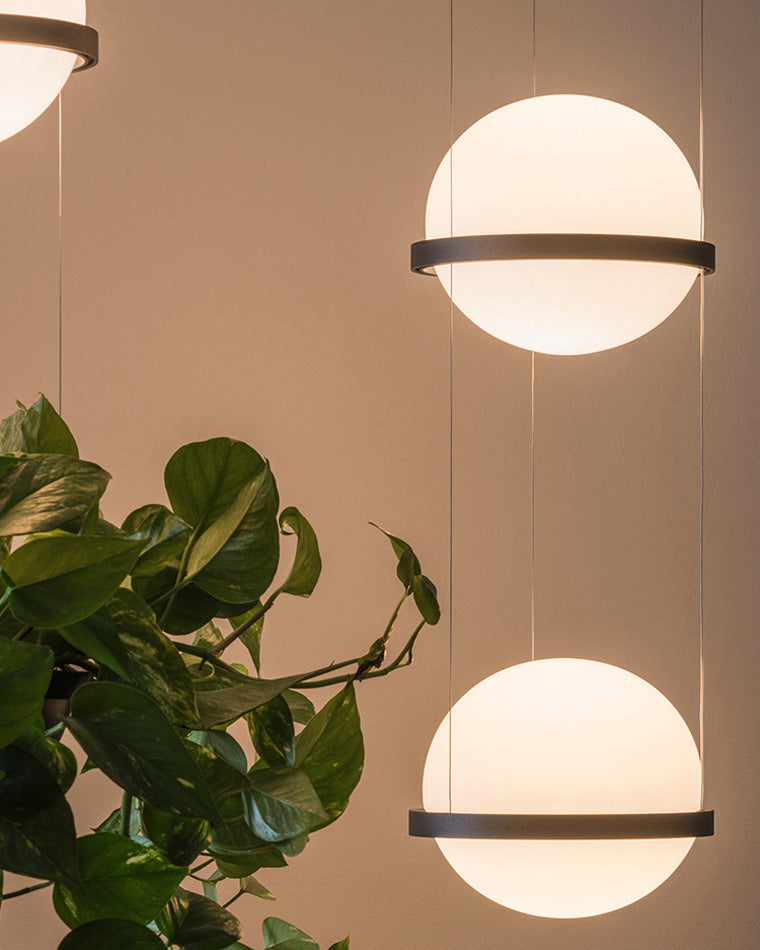 Diff Plant Globe Pendant Light-DF2155