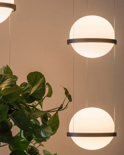 Diff Plant Globe Pendant Light-DF2155