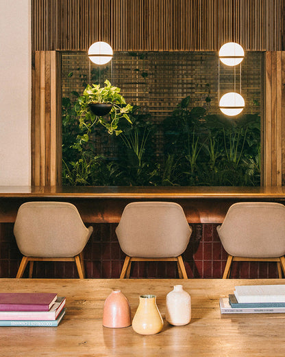 Diff Plant Globe Pendant Light-DF2155