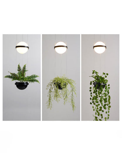 Diff Plant Globe Pendant Light-DF2155