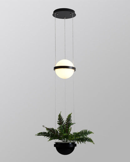 Diff Plant Globe Pendant Light-DF2155