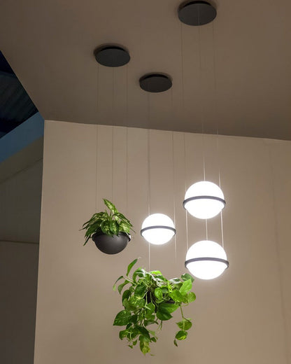 Diff Plant Globe Pendant Light-DF2155