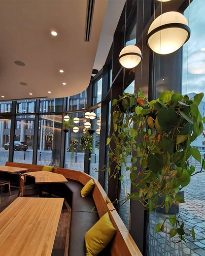 Diff Plant Globe Pendant Light-DF2155