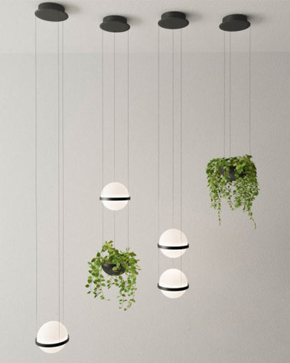 Diff Plant Globe Pendant Light-DF2155