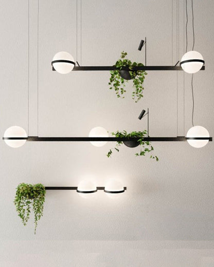 Diff Plant Globe Pendant Light-DF2155