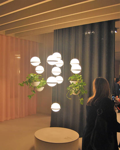 Diff Plant Globe Pendant Light-DF2155