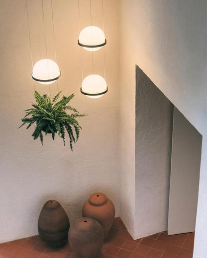 Diff Plant Globe Pendant Light-DF2155