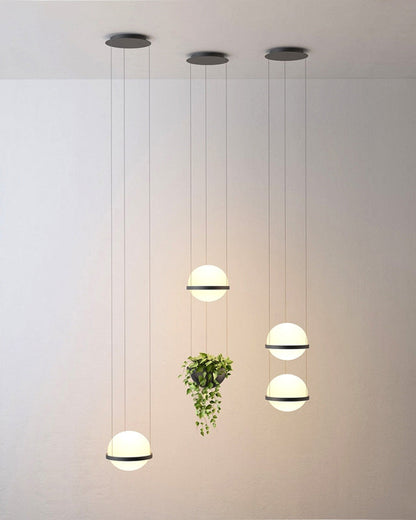 Diff Plant Globe Pendant Light-DF2155
