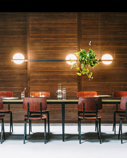 Diff Plant Globe Pendant Light-DF2155