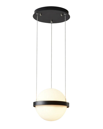 Diff Plant Globe Pendant Light-DF2155