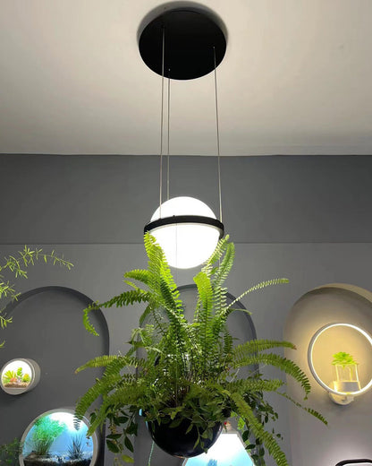 Diff Plant Globe Pendant Light-DF2155