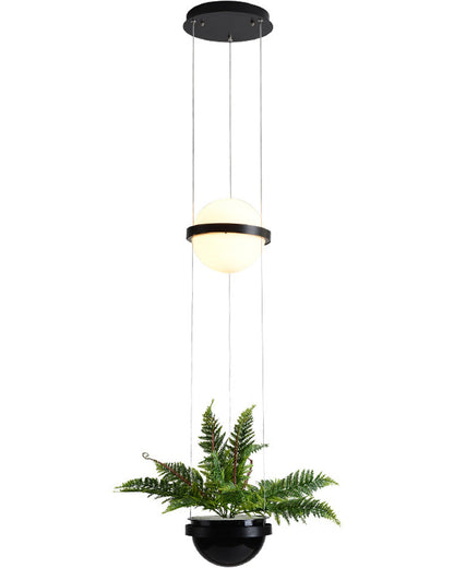 Diff Plant Globe Pendant Light-DF2155