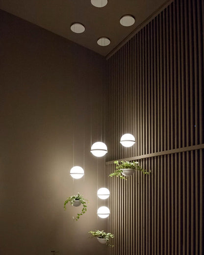 Diff Plant Globe Pendant Light-DF2155