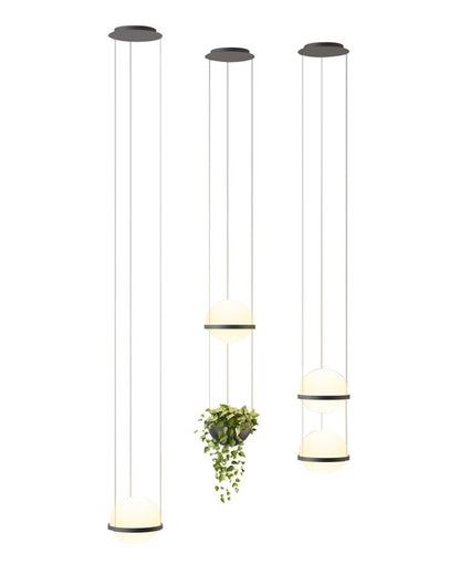 Diff Plant Globe Pendant Light-DF2155