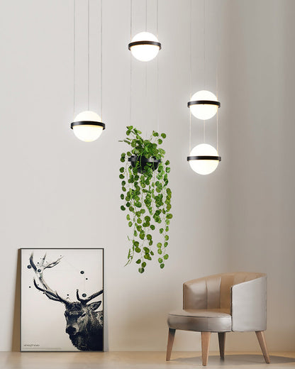 Diff Plant Globe Pendant Light-DF2155