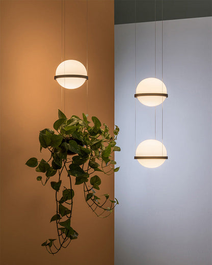 Diff Plant Globe Pendant Light-DF2155