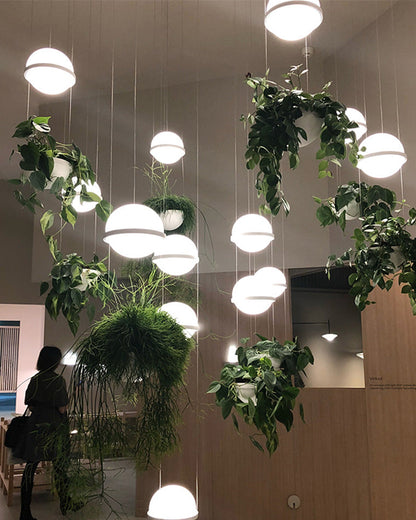 Diff Plant Globe Pendant Light-DF2155