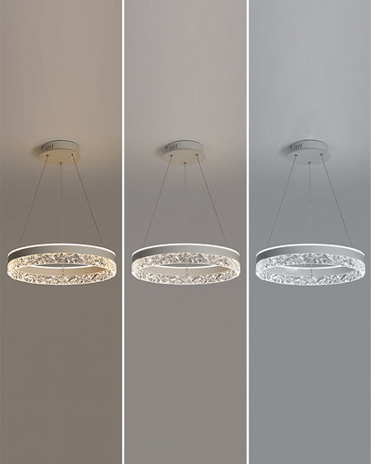 Diff Acrylic Circular LED Chandelier-DF2171