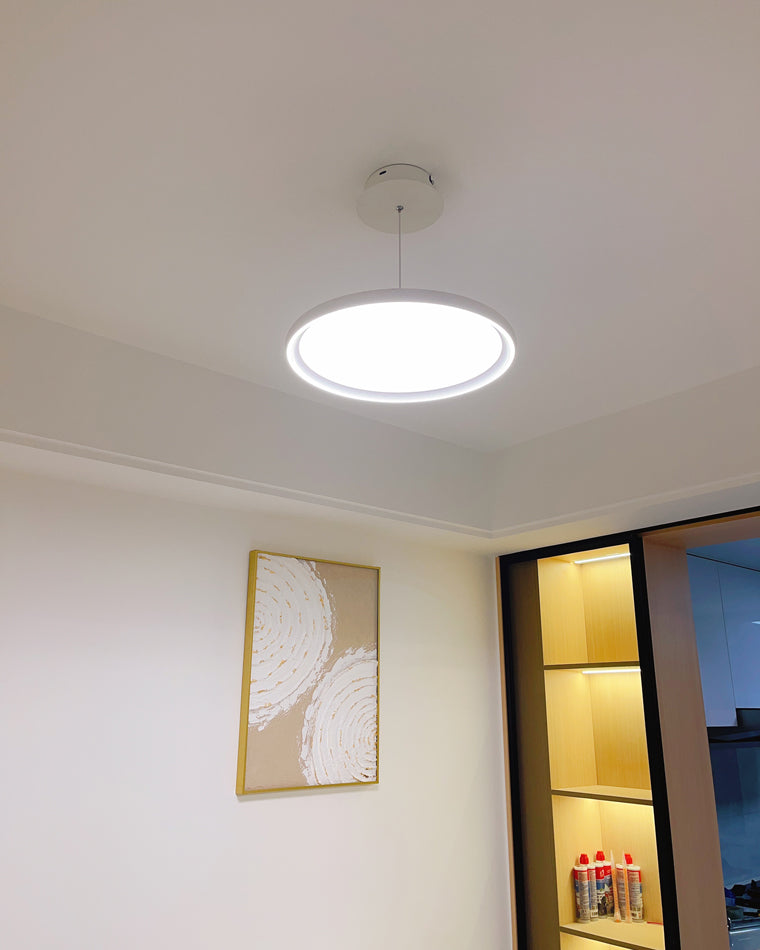 Diff Flat Disc Pendant Light-DF2214