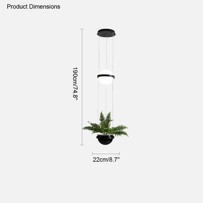 Diff Plant Globe Pendant Light-DF2155