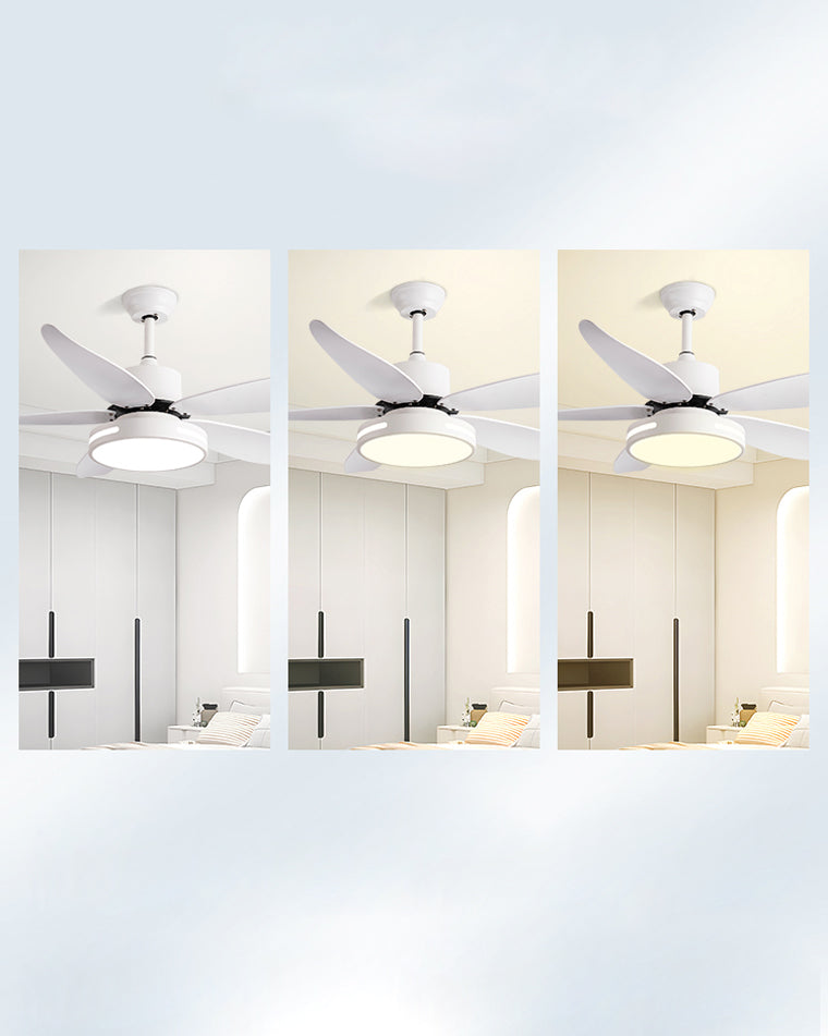 Diff 48" Reversible Quiet Ceiling Fan with Dimmable Light-DF5000