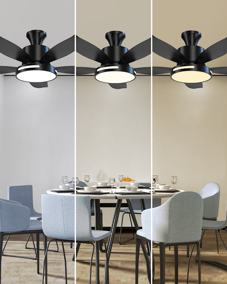 Diff 48" Reversible Quiet Ceiling Fan with Dimmable Light-DF5000