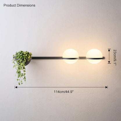 Diff Globe Plant Wall Sconce-DF6035