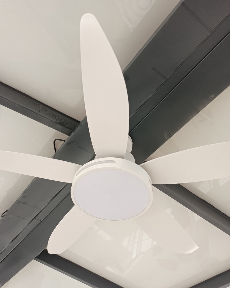 Diff 48" Reversible Quiet Ceiling Fan with Dimmable Light-DF5000