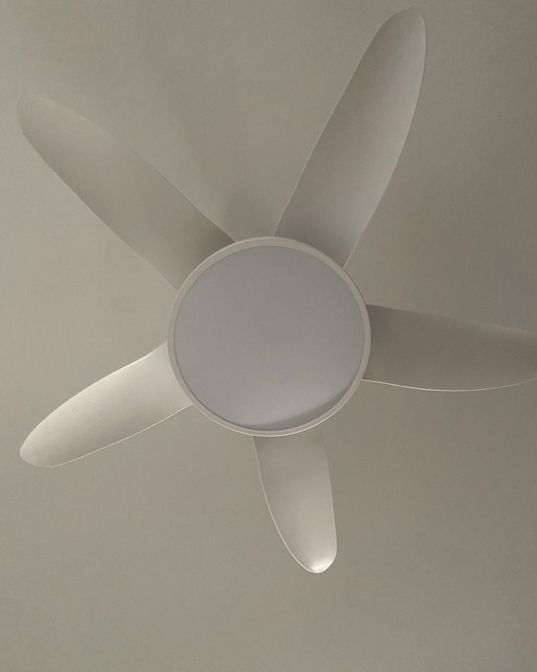 Diff 48" Reversible Quiet Ceiling Fan with Dimmable Light-DF5000