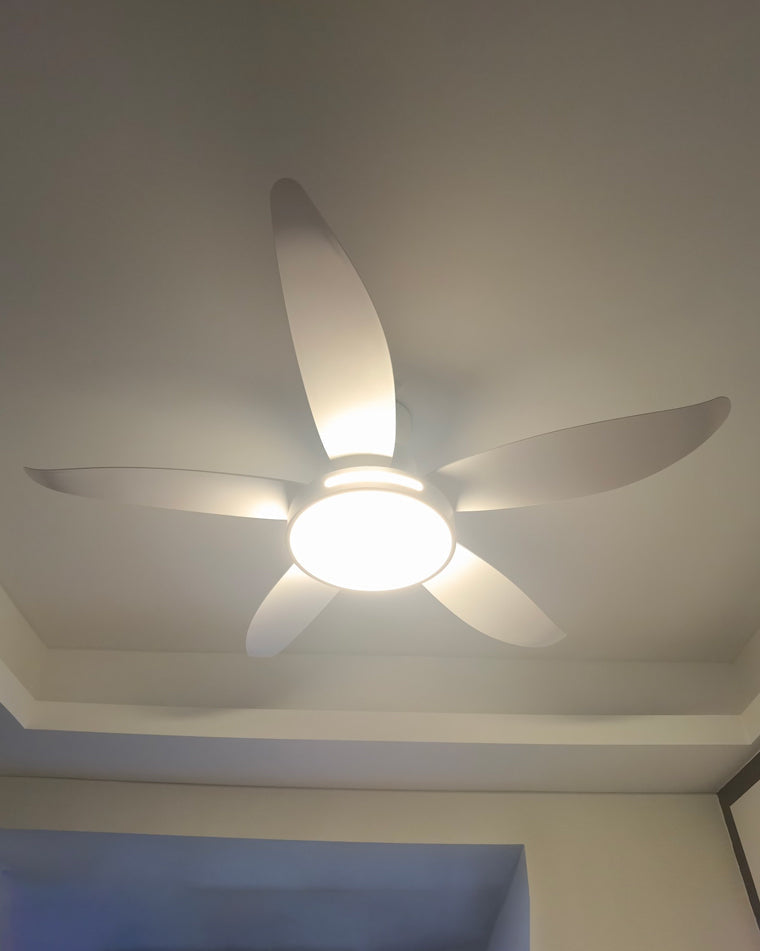 Diff 48" Reversible Quiet Ceiling Fan with Dimmable Light-DF5000