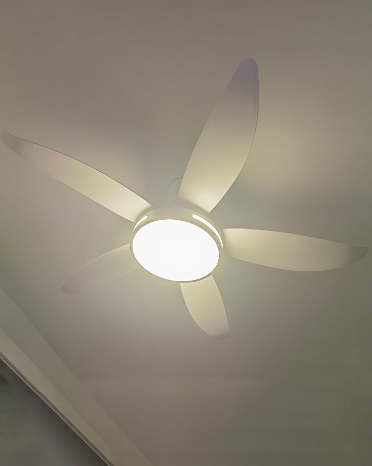 Diff 48" Reversible Quiet Ceiling Fan with Dimmable Light-DF5000