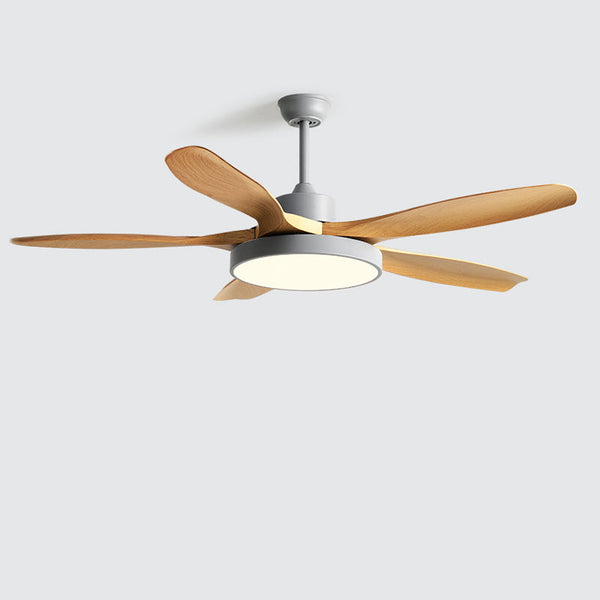 Diff Minimal Ceiling Fan with Light-DF5002