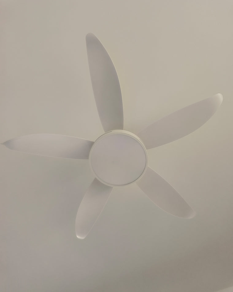 Diff 48" Reversible Quiet Ceiling Fan with Dimmable Light-DF5000