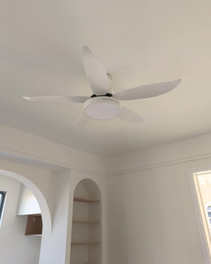 Diff 48" Reversible Quiet Ceiling Fan with Dimmable Light-DF5000