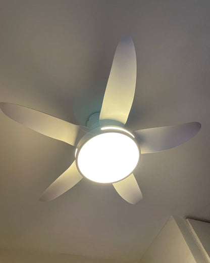 Diff 48" Reversible Quiet Ceiling Fan with Dimmable Light-DF5000